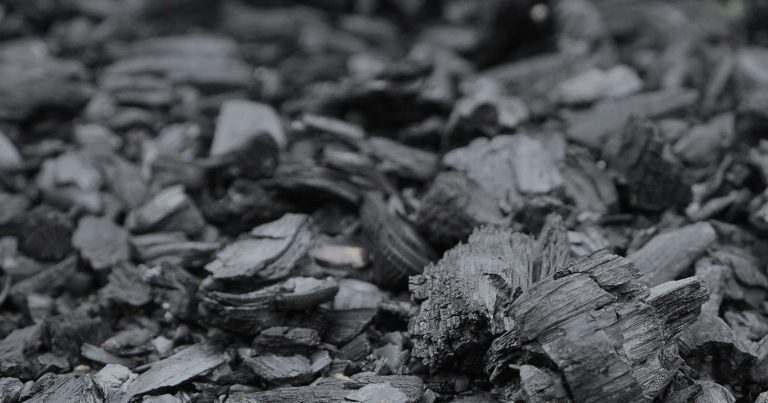 Charcoal and Cactus Soil Health