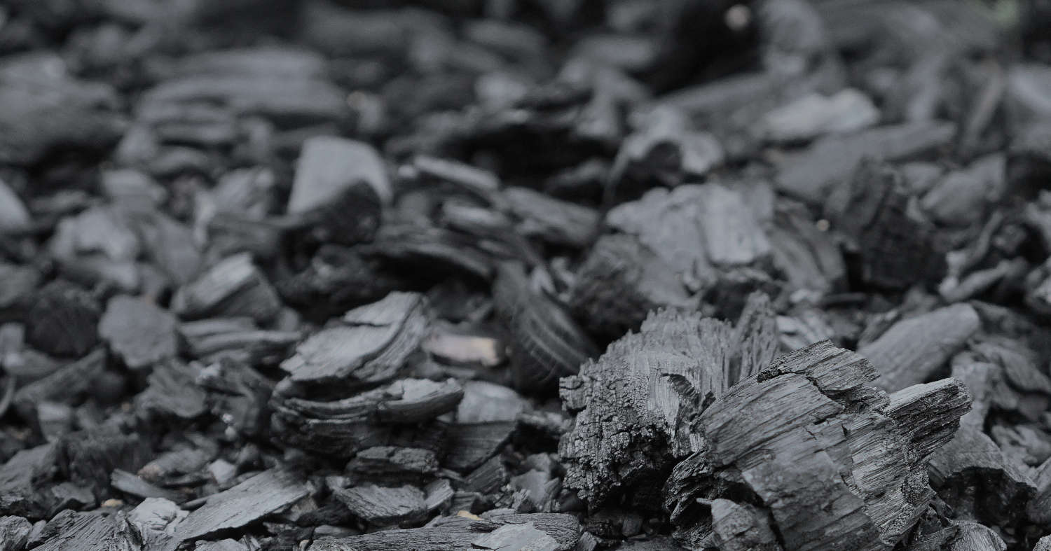 Charcoal and Cactus Soil Health