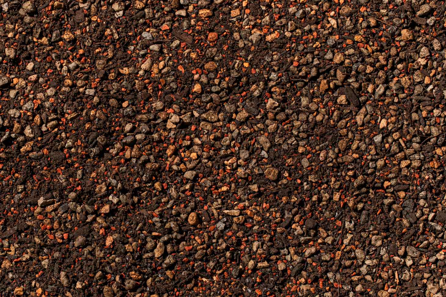 premium succulent soil close up