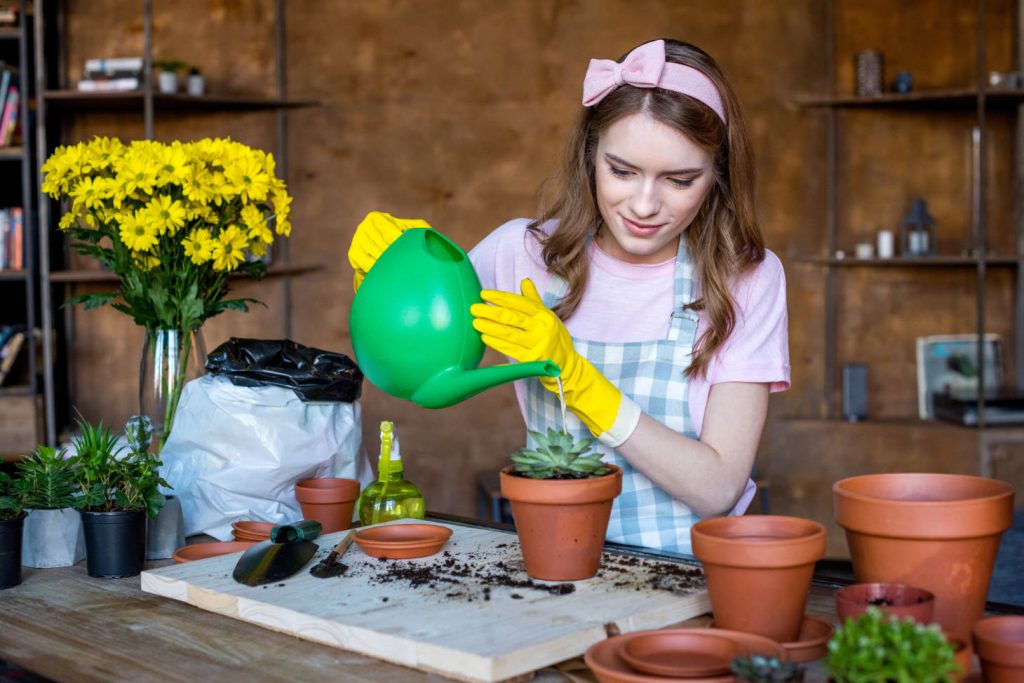 Young Woman Watering Succulent